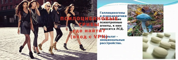 индика Гусь-Хрустальный