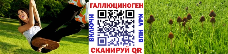 OMG рабочий сайт  Тайшет  Галлюциногенные грибы Psilocybe 